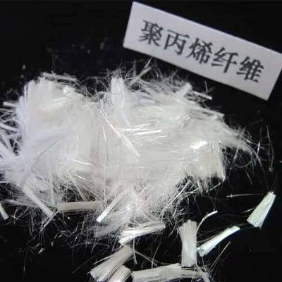 公司动态
