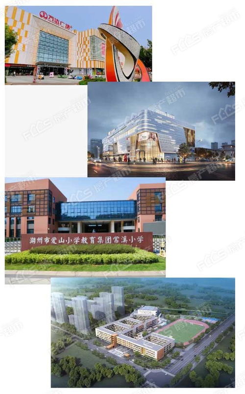 年度捡漏王 418万起占位湖州 城市排屋 ,还是三开间,大面宽产品