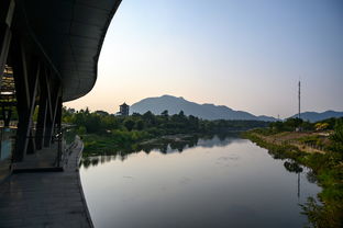 浙江湖州旅游好去处 安吉竹博园,夜游竹林秘境你一定没体验过