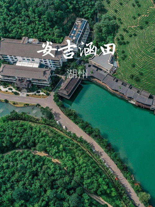 直播预告 今晚8点携程boss直播,湖州文旅与你有约