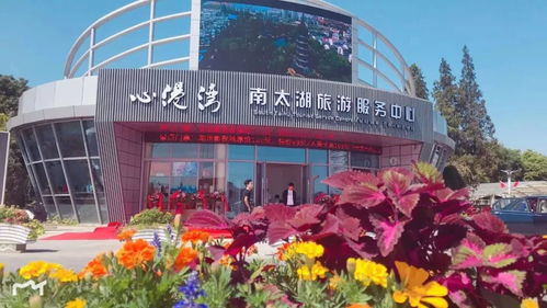 火爆 国庆第一天68.03万人涌入湖州