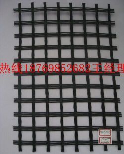 湖州单向塑料土工格栅厂家高清图片_产品图_样板图 - 中国化工产品网