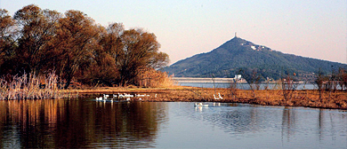 湖州市-长兴县 ( 景区 )