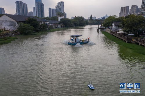 浙江湖州 智能化平台助力城市河道精准治理