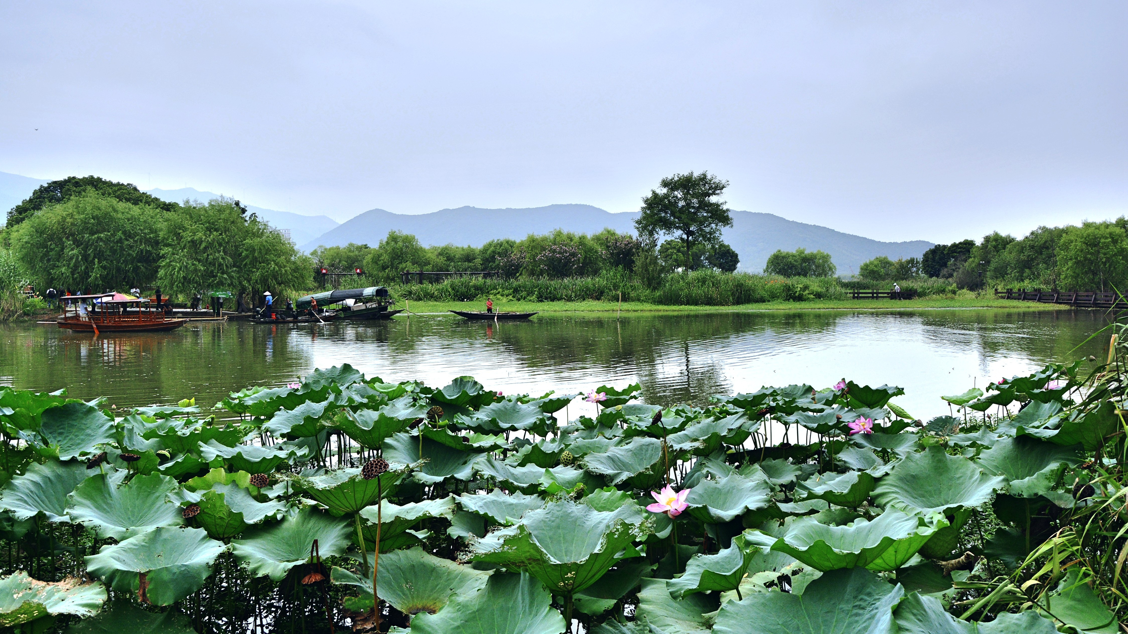 首届中国·湖州国际滨湖旅游节”走进龙之梦 暨太湖观光大道采风行